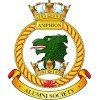 AmphionAlumniSociety-100x100-1